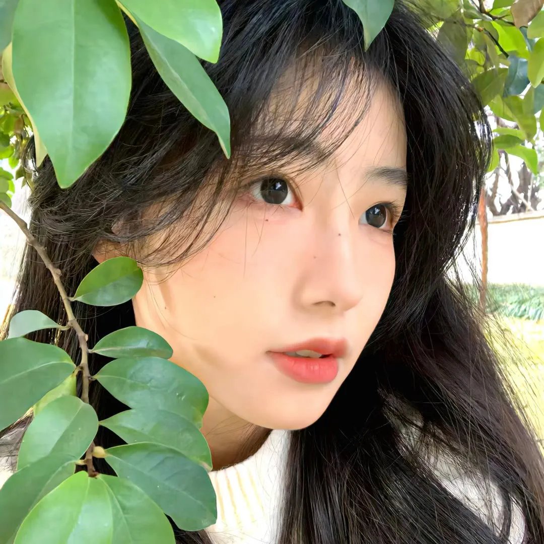 早安越南